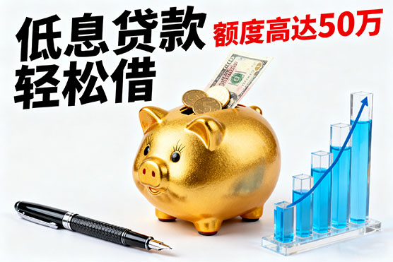 聊城打借条借款：不看征信和负债！